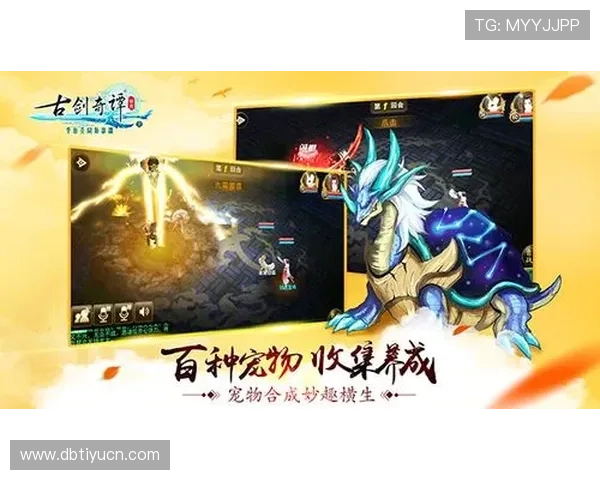 龙8直营平台最新优惠活动全面解析助你轻松赢取丰厚奖励